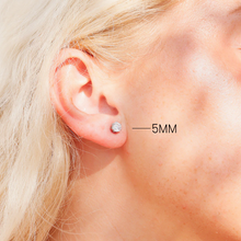 Load image into Gallery viewer, 18K Gold PVD Stainless Steel Round CZ Stud Earrings - Various Sizes
