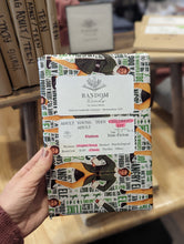 Load image into Gallery viewer, Random Reads Mystery Books
